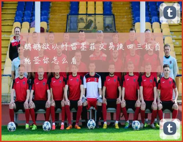 鹈鹕欲以特雷墨菲交易换回三枚首轮签你怎么看
